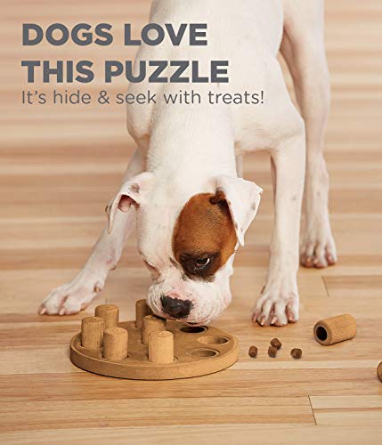 Outward Hound Dog Brick Interactive Treat Puzzle Dog Toy, Intermediate