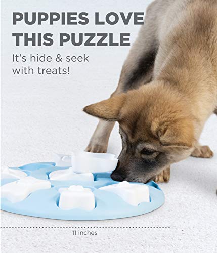 Outward Hound Dog Brick Interactive Treat Puzzle Dog Toy, Intermediate