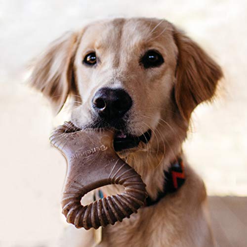 Dental Dog Chew Toy for Aggressive Chewers, Long Lasting, Medium, Real Bacon Flavor