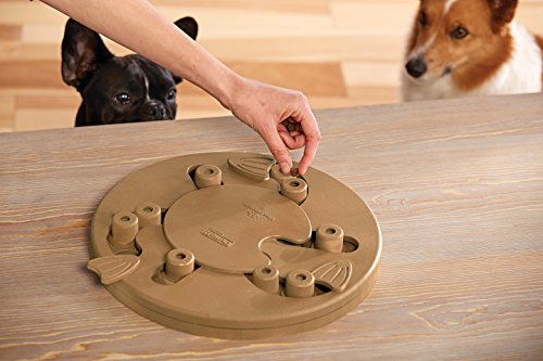 Outward Hound Dog Brick Interactive Treat Puzzle Dog Toy, Intermediate