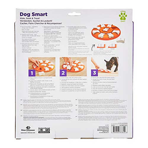 Outward Hound Dog Brick Interactive Treat Puzzle Dog Toy, Intermediate