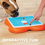 Outward Hound Dog Brick Interactive Treat Puzzle Dog Toy, Intermediate