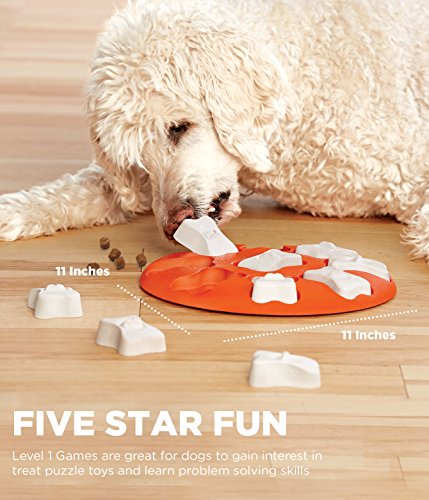 Outward Hound Dog Brick Interactive Treat Puzzle Dog Toy, Intermediate