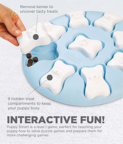 Outward Hound Dog Brick Interactive Treat Puzzle Dog Toy, Intermediate