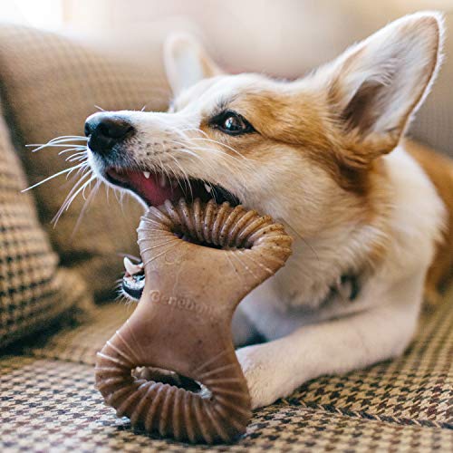 Dental Dog Chew Toy for Aggressive Chewers, Long Lasting, Medium, Real Bacon Flavor