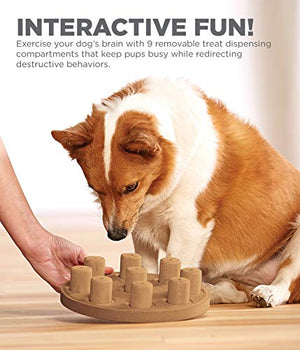 Outward Hound Dog Brick Interactive Treat Puzzle Dog Toy, Intermediate