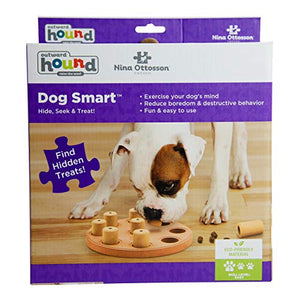 Outward Hound Dog Brick Interactive Treat Puzzle Dog Toy, Intermediate