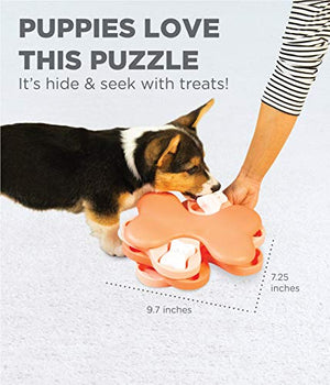 Outward Hound Dog Brick Interactive Treat Puzzle Dog Toy, Intermediate