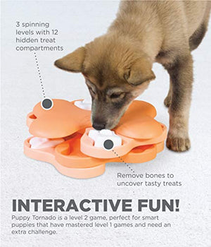 Outward Hound Dog Brick Interactive Treat Puzzle Dog Toy, Intermediate