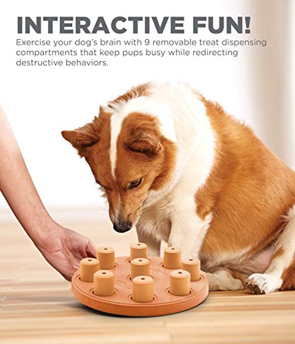 Nina Ottosson by Outward Hound Dog Twister Interactive Treat Puzzle Dog Toy