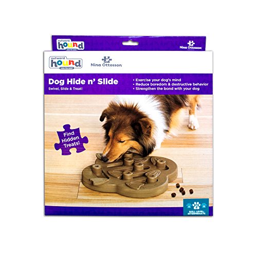 Outward Hound Dog Brick Interactive Treat Puzzle Dog Toy, Intermediate