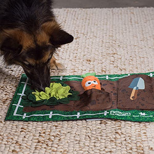 Outward Hound Dog Brick Interactive Treat Puzzle Dog Toy, Intermediate