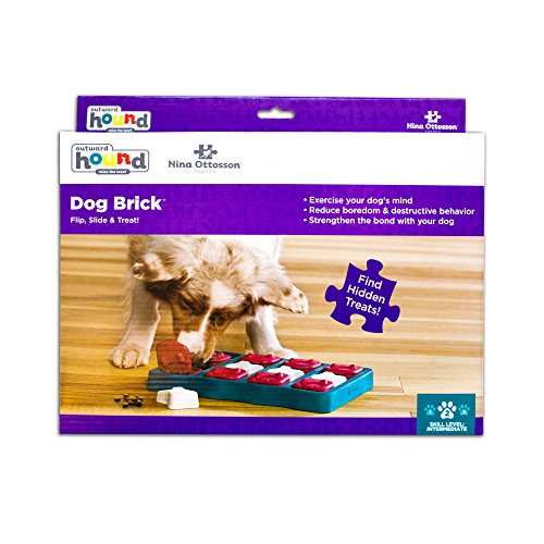 Outward Hound Dog Brick Interactive Treat Puzzle Dog Toy, Intermediate