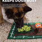 Outward Hound Dog Brick Interactive Treat Puzzle Dog Toy, Intermediate