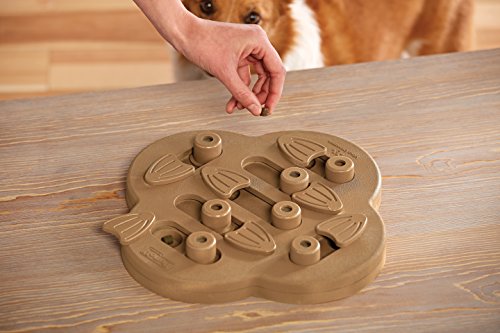 Outward Hound Dog Brick Interactive Treat Puzzle Dog Toy, Intermediate