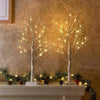 PEIDUO 24 2FT 24LT Lighted Birch Tree Battery Powered Timer Warm White LED Artificial Branch Tree for Home Party Festival Wedding Decor, 2FT Table Tre