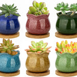ZOUTOG Succulent Pots, 4 inch Ceramic Ice Crack Flower Planters, Colorful Pot with Bamboo Trays, Pack of 6 (Plants Not Included)