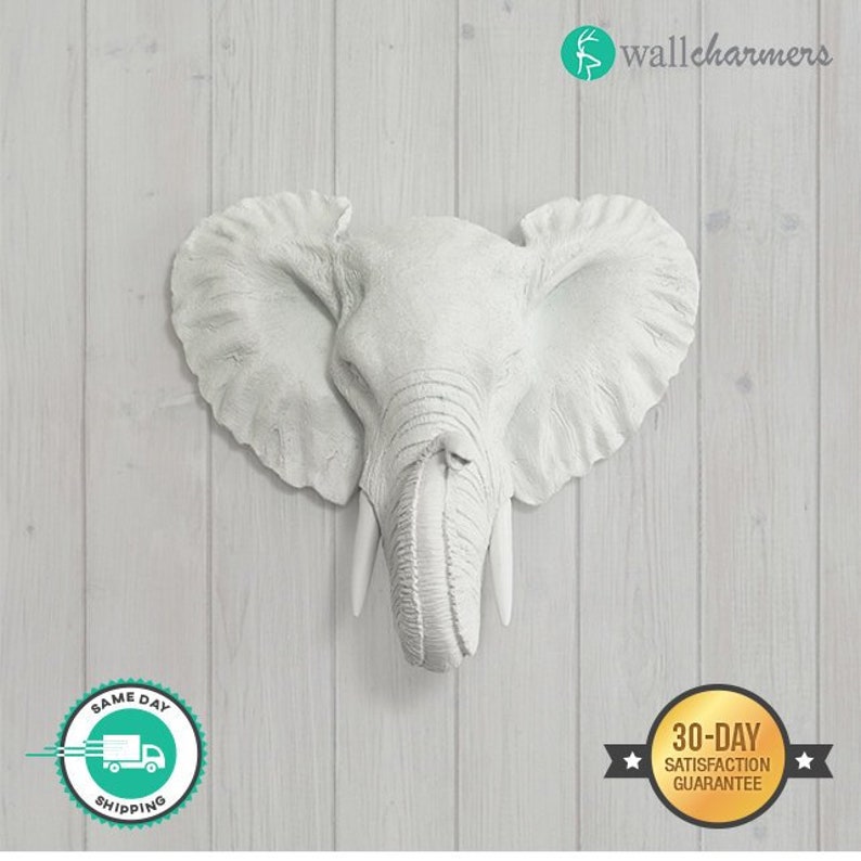 Mini Faux White Elephant Head by WallCharmers Faux Taxidermy | Animal Wall Decor | Farmhouse Decor | Nursery Wall Decor | Rustic Wall Decor