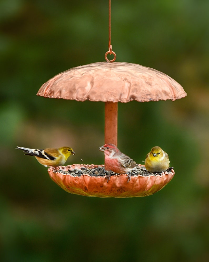 Pure Copper Bird Feeder