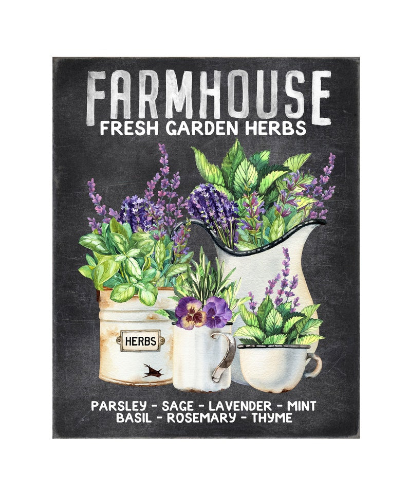 16x20 Farmhouse Fresh Picked Herbs Wall Art Canvas Print