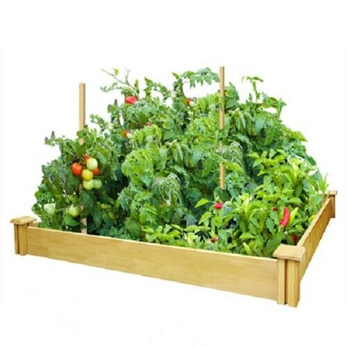 Miracle Gro, 4' x 4' x 5.5", Cedar Raised Garden Kit