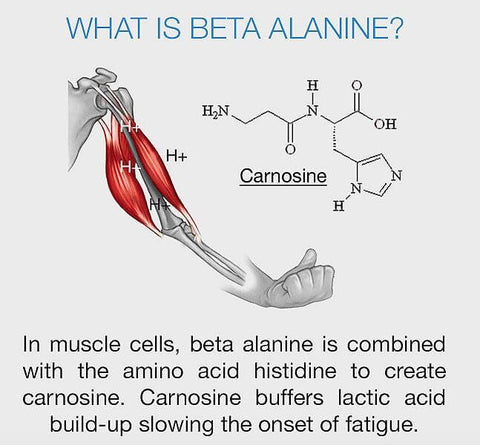 beta alinine