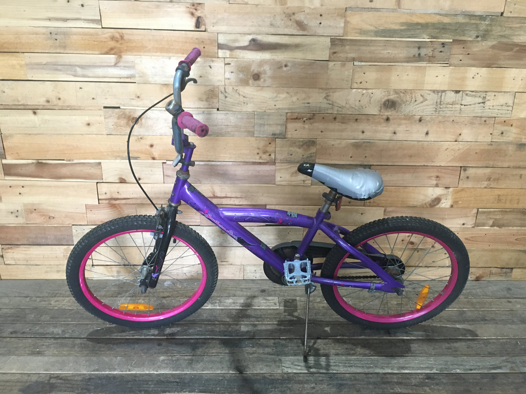 Purple Southern Star Kids Bike