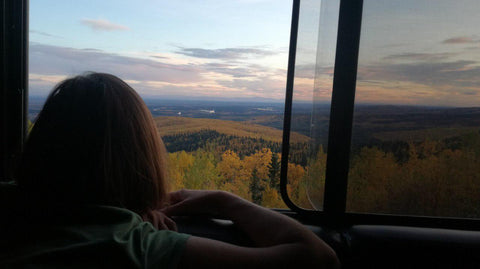 fairbanks denali alaska, travel tips, campervan, vanlife, tamed winds blog, tamedwinds