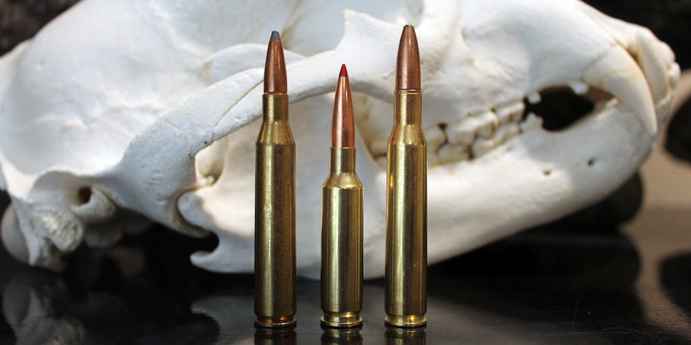 .25-06 Remington (L) vs 6.5 Creedmoor vs .270 Winchester (R)