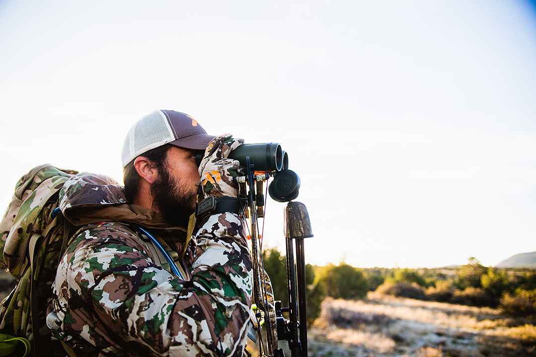 Glassing for Coues Deer
