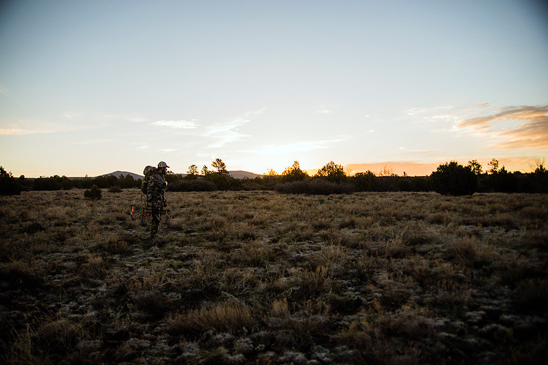 Isolate, Desert Sunset