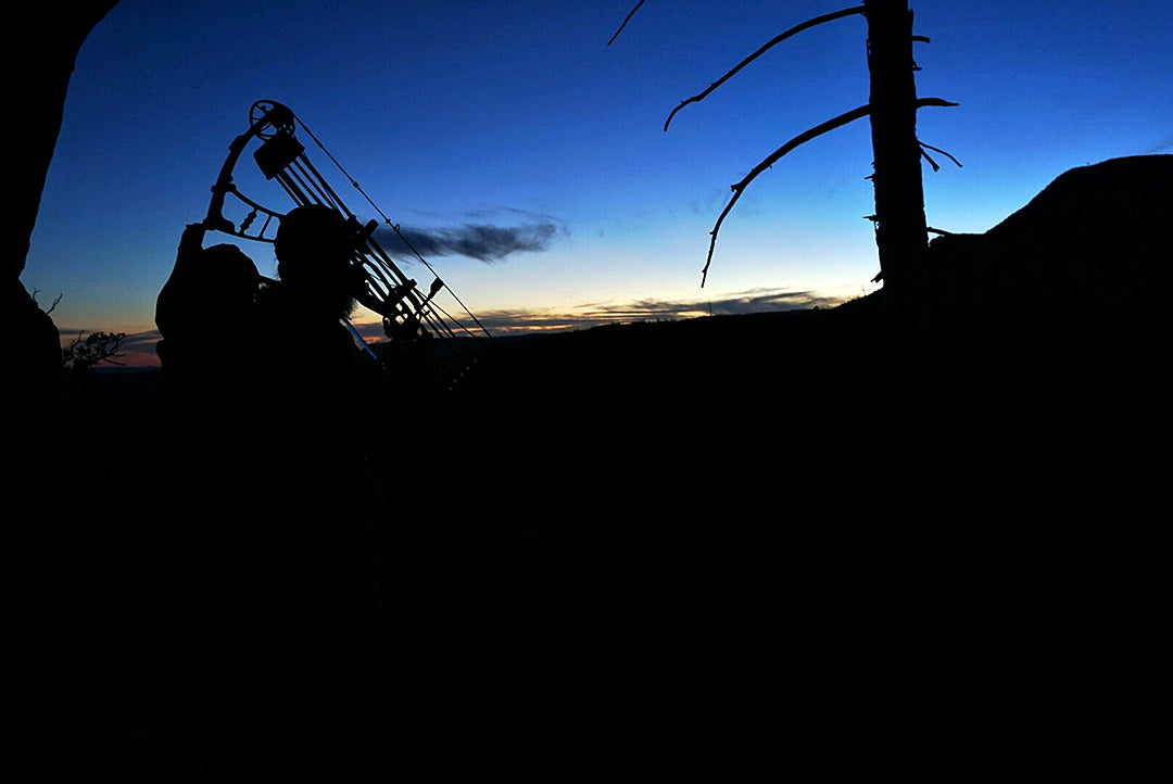 Bowhunter Silhouette