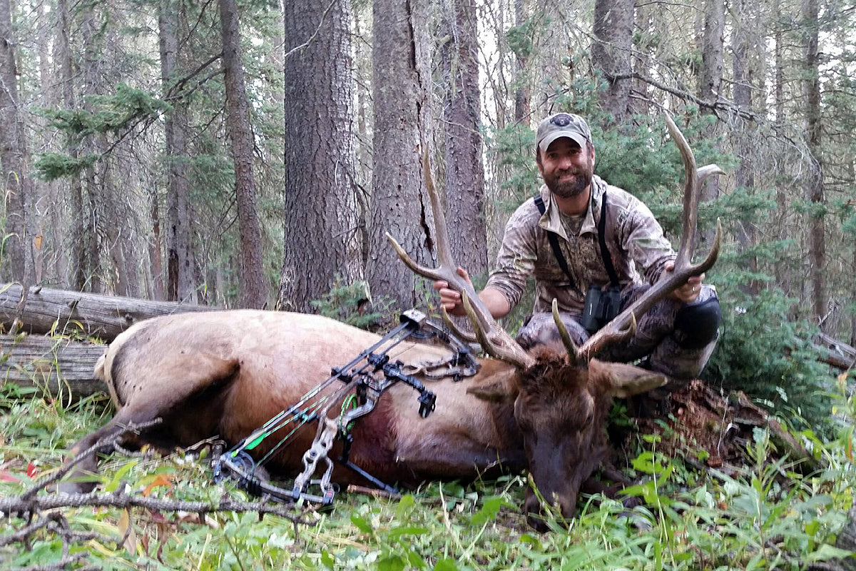 Bull at the End of the Hunt