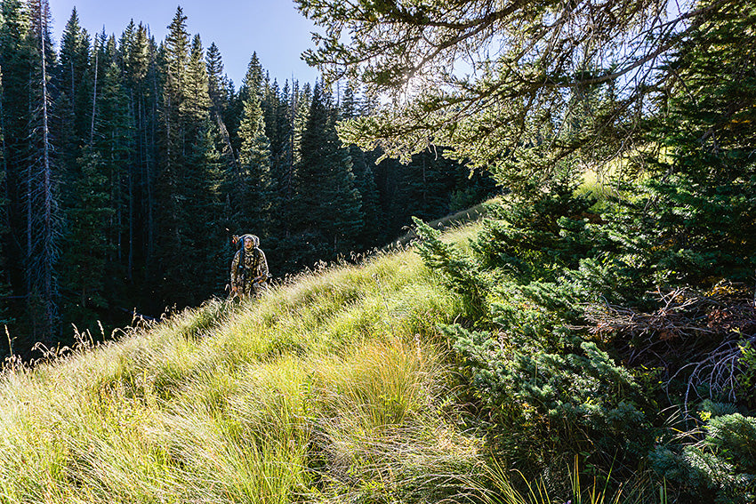 Hiking in A Hunting Paradise