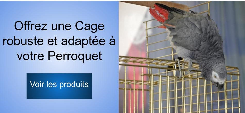 Cage perroquet