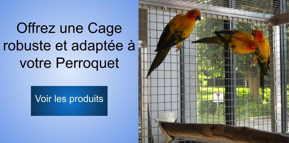 Cage perroquet