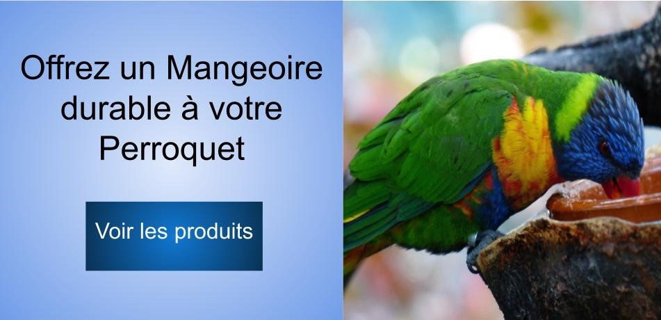 Mangeoire perroquet