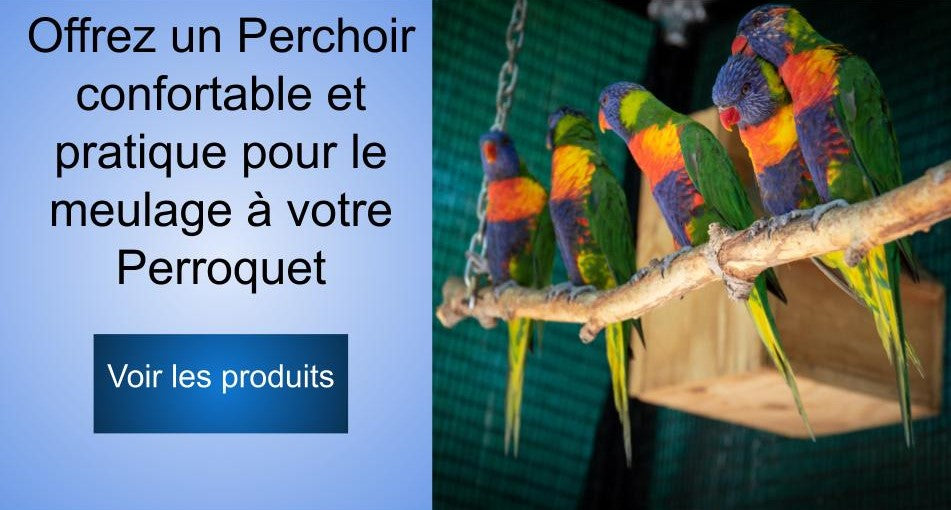 Perchoir perroquet