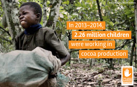 Fair-Trade Certified Cocoa