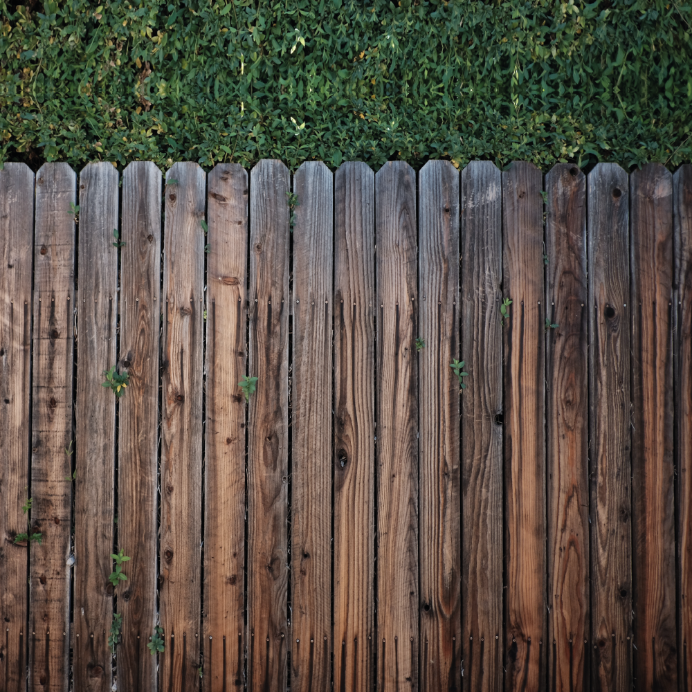 How High can a Garden Fence Be? Contemporary Garden UK