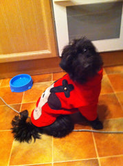 Christmas Jumper for Dogs