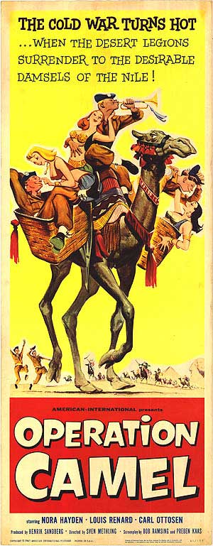 Operation Camel