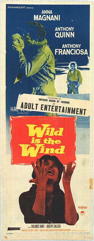 Wild is the Wind