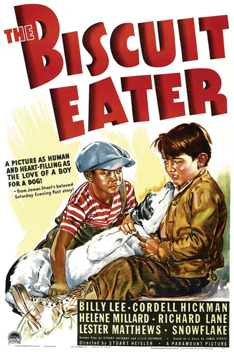 Biscuit Eater