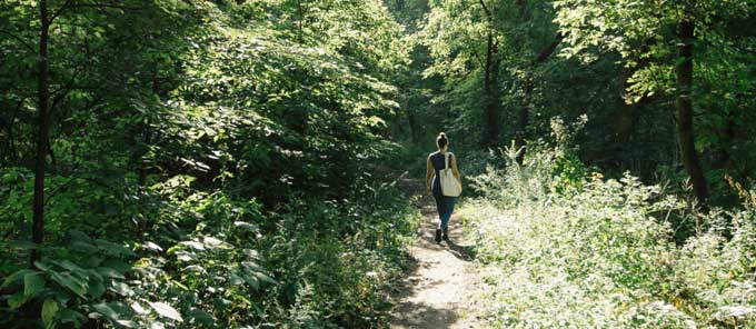 Fresh Air - Woman Taking A Peaceful Walk Through The Woods