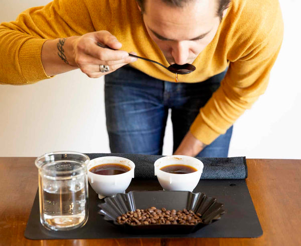 How to slurp coffee during cuppings