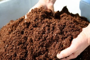 composting coffee grounds