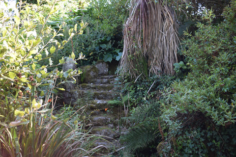 Granite Staircase Cornish Cottage Garden 