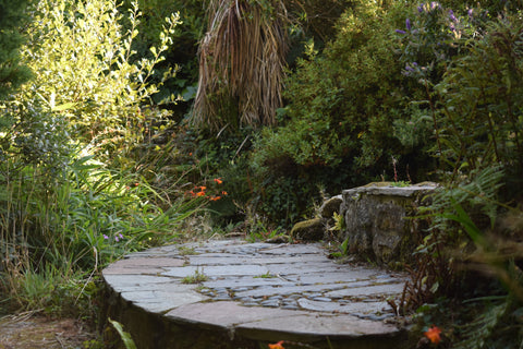 Slate Steps in a Cornish Cottage Garden
