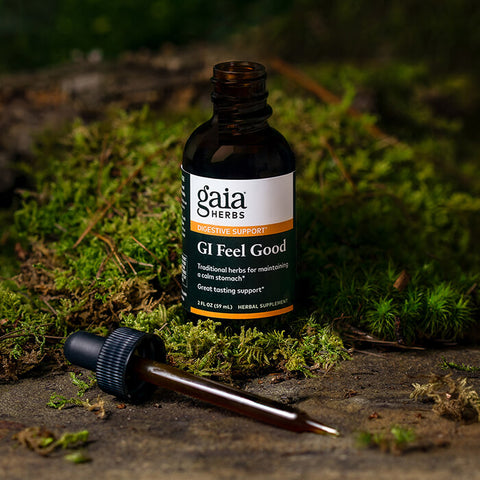 Gaia Herbs GI Feel Good Liquid Herbal Extract